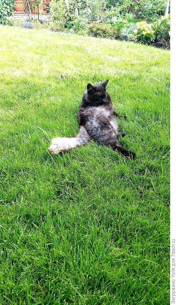 А хочется быть на месте этого бездельника