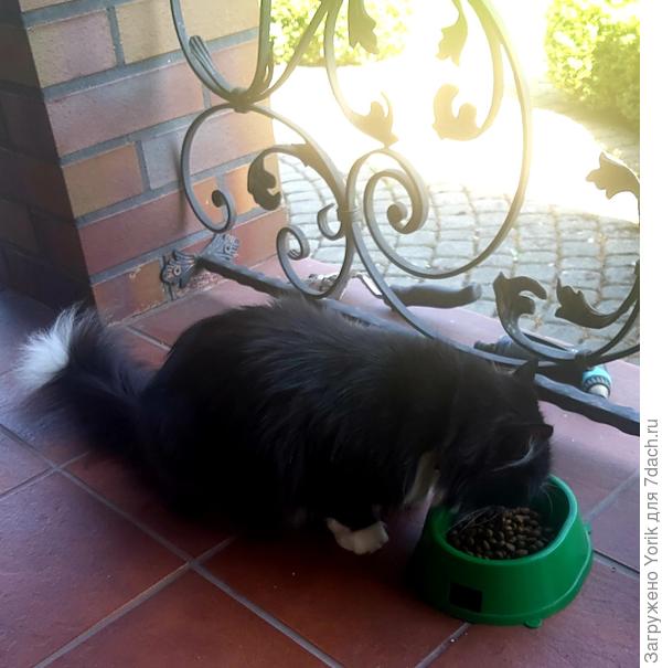 Брунгильда,  осчастливила своим присутствием