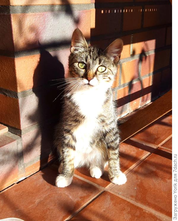 Во еще пришел, чтобы полюбили. Зову его Мартин