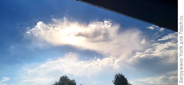 Горе! Горе! Крокодил
Солнце в небе проглотил!