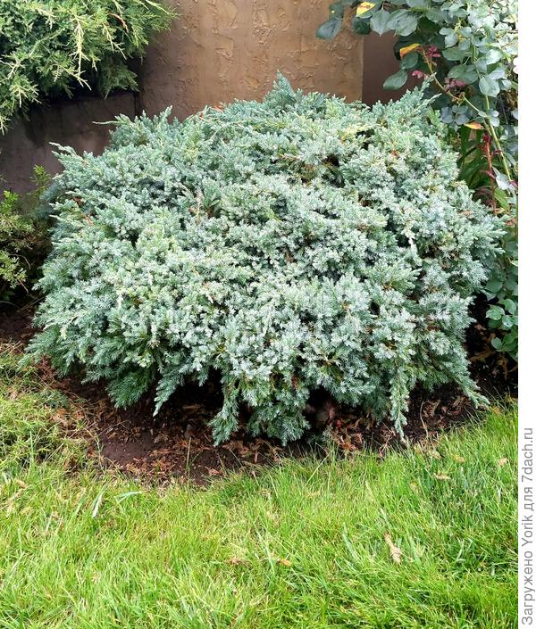 Теперь выглядит так