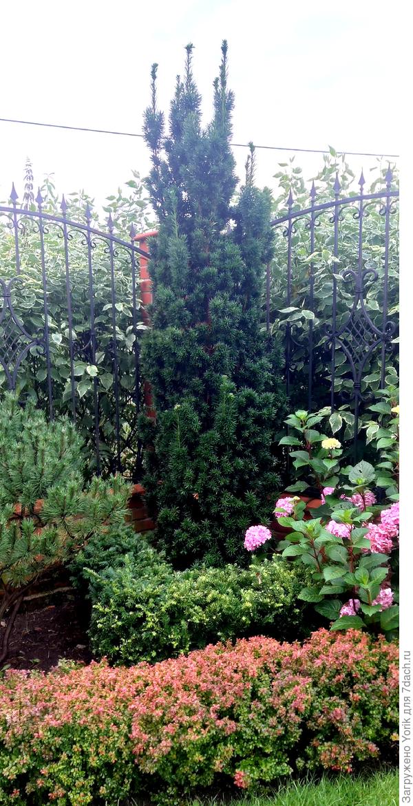 А можно и ничего с ним не делать. Ведёт себя очень благородно