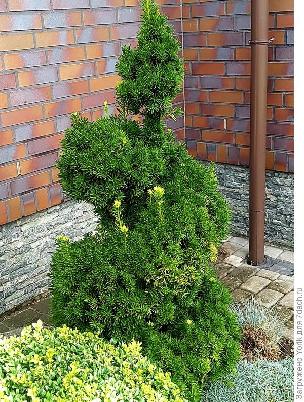 Вот формируется спираль.