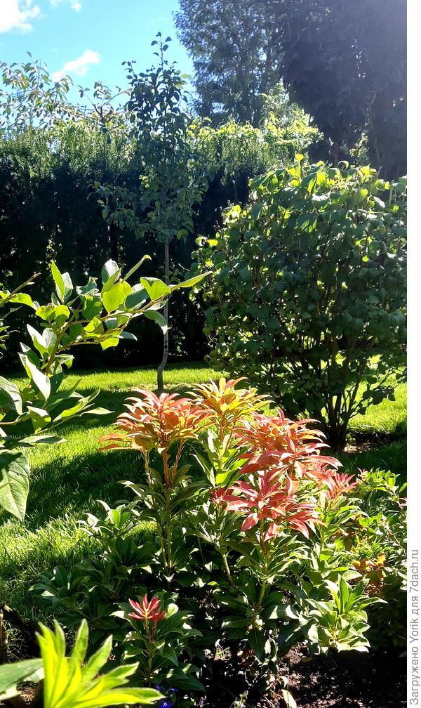 Ну разве не радует глаз?