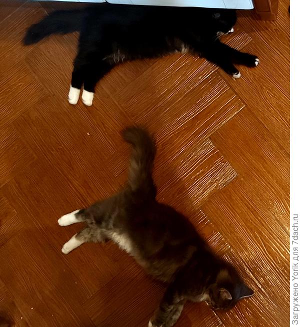 но и пройти нельзя будет.