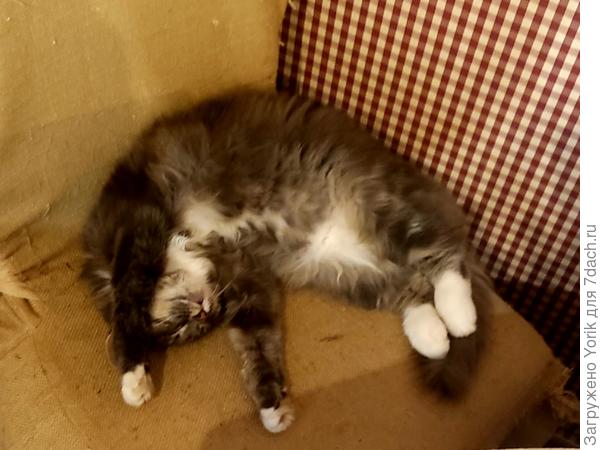 Уединение -одна из черт характера. Но место уединения должно быть комфортно