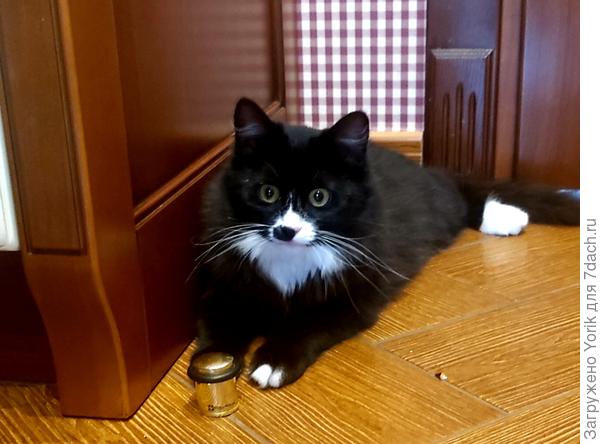 Всегда хорошее настроение.