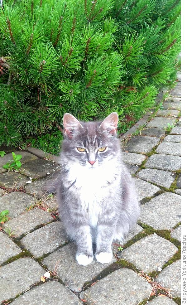 приняла "благочестивый вид" для съемки