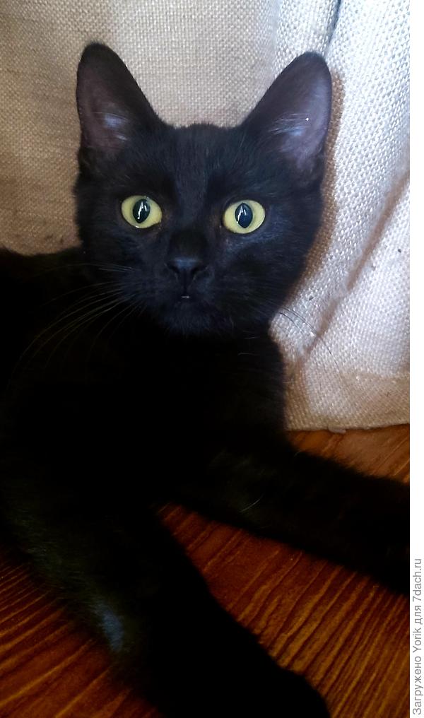 Вот скажите, могло ли прийти на ум, другое имя? Мне, нет.