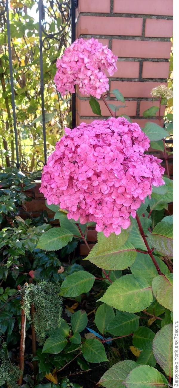 Разве скажешь, что вторая половина октября?