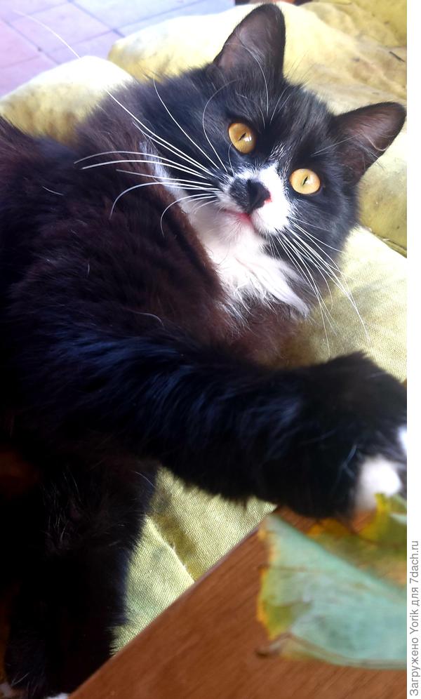 Надо успеть погреться, ведь скоро зима