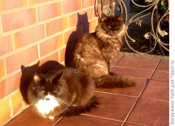 Передаём привет