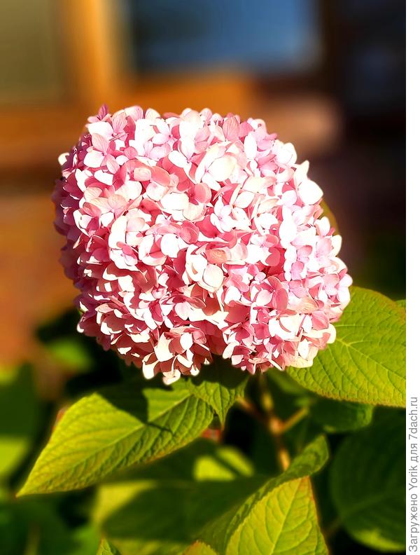 Еще никак не угомонятся