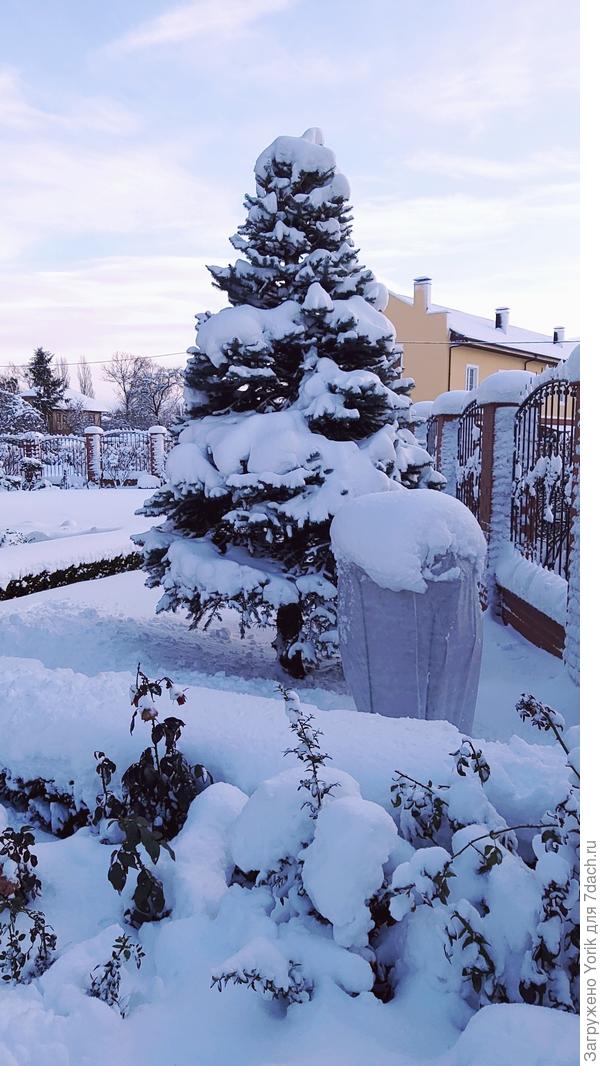 Редкая возможность сделать зимнее фото