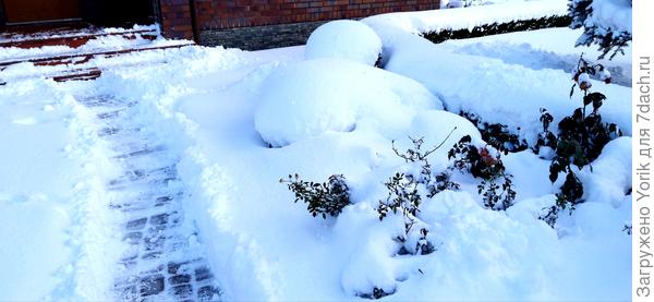 Дорожка в жизнь (Вчера чистил снег)