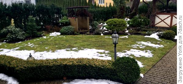 Сегодня вид такой. Типичная "зеленая" зима