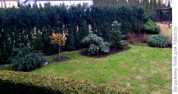 Кофе есть, а пирога нет