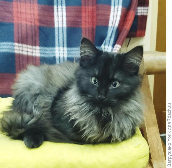 А год назад был Веней