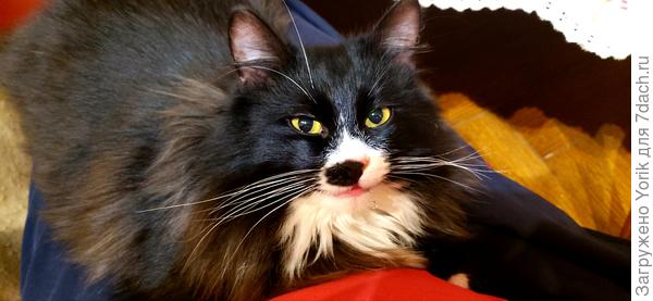 И Вам большой привет! скоро будет год.