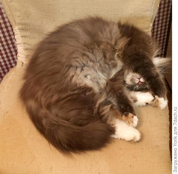 На боевом посту