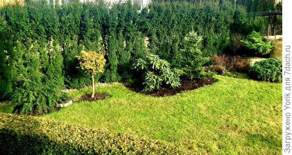 30 января. Солнечно и зелено