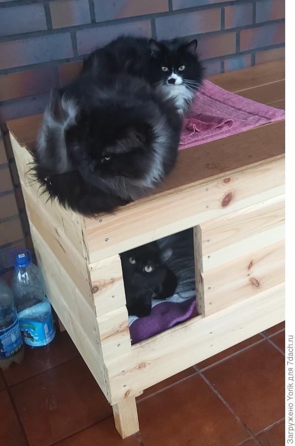 Все пацаны в сборе