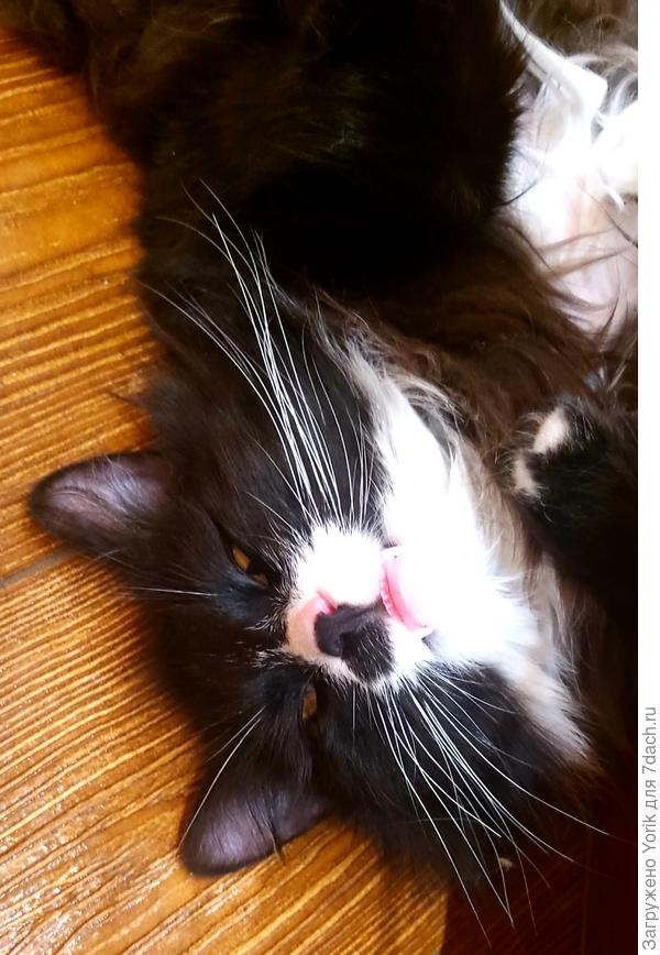 После ночных бдений