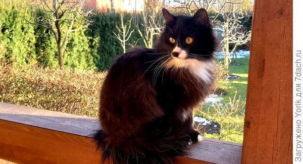 А вот второй помощник. Пятнашка