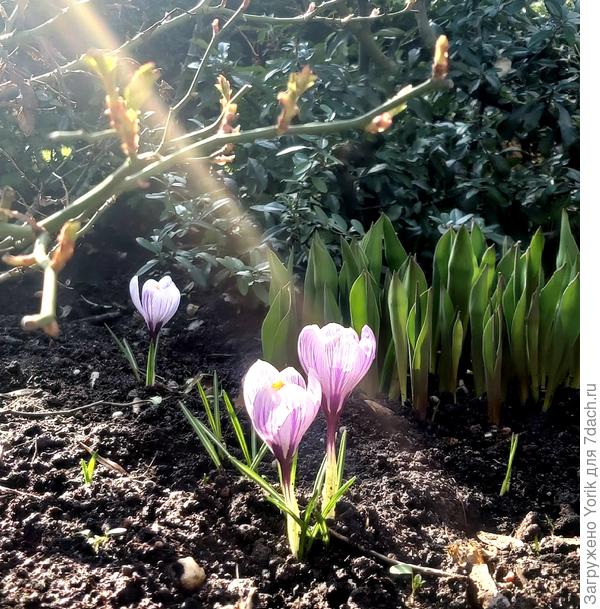 А, пока, так...