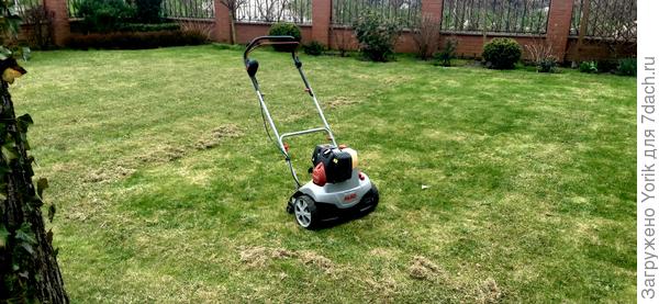 сейчас вычесываю "сено", и прорезаю газон. Уже начесал 8 мешков. Вот и малоуходный сад.