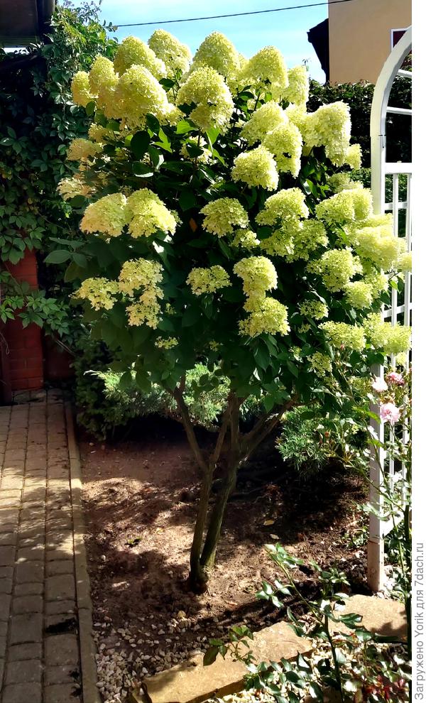 Вон сколько под ней свободного пространства