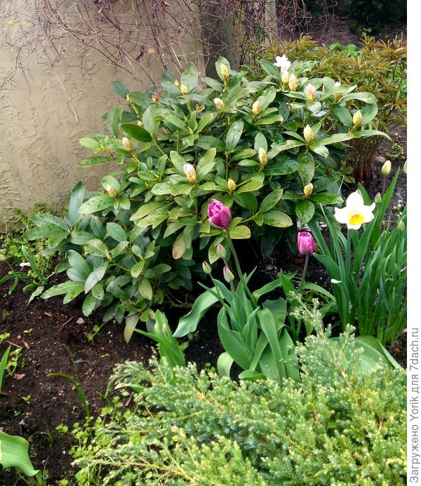 А тем временем наблюдаю такую картину.