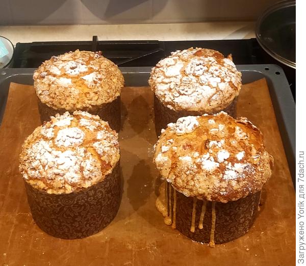 Я на Пасху с Панеттоне заморочился, по классическому рецепту, вплоть до того, что остывали они подвешенные вниз головой. Если уж делаешь, то надо стараться, чтобы не стыдно было. Кстати, та же духовка