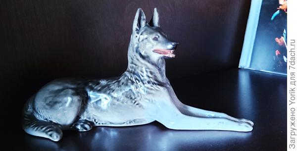 А эта овчарка наверное очень многим знакома