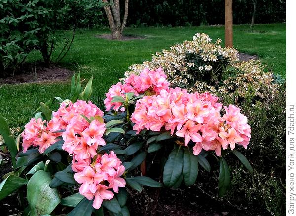 В прошлом  году, обустраивался, ну а в этом уже радует