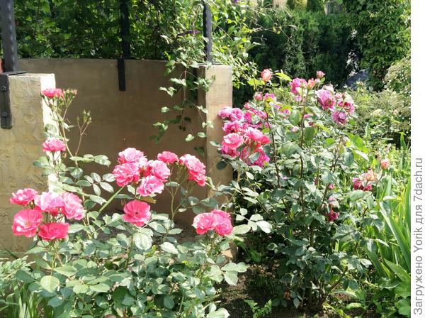 &quot;Разношерстная команда&quot;