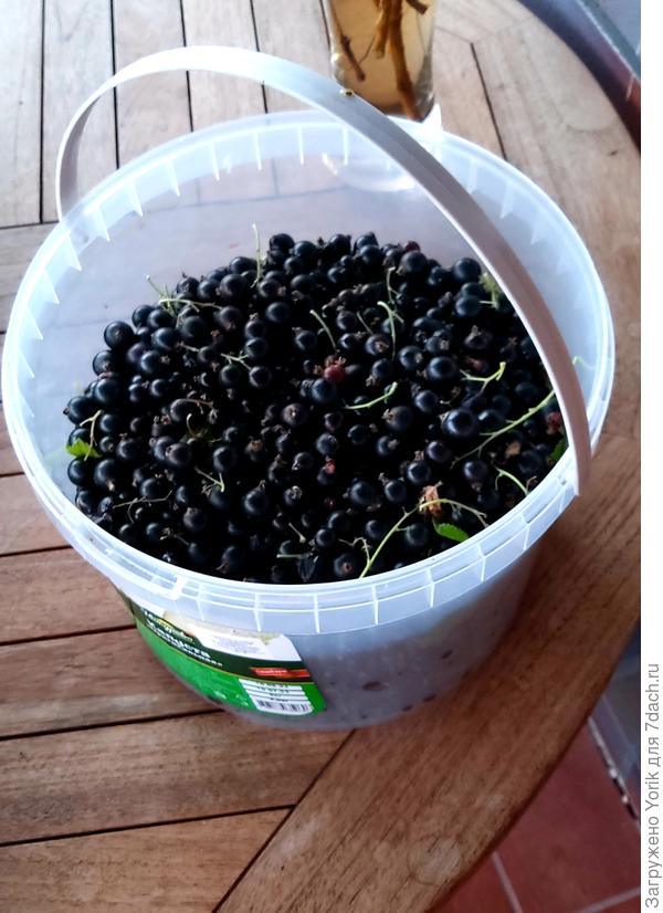 Есть чем занять время