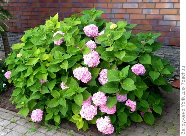 А у меня все обыденно