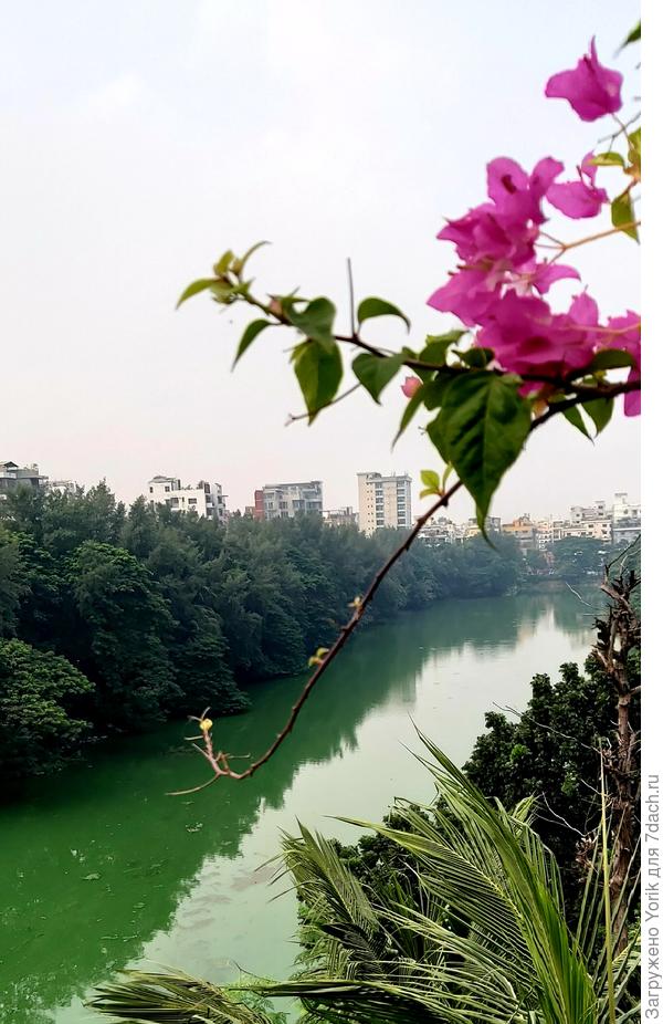 Умиротворение