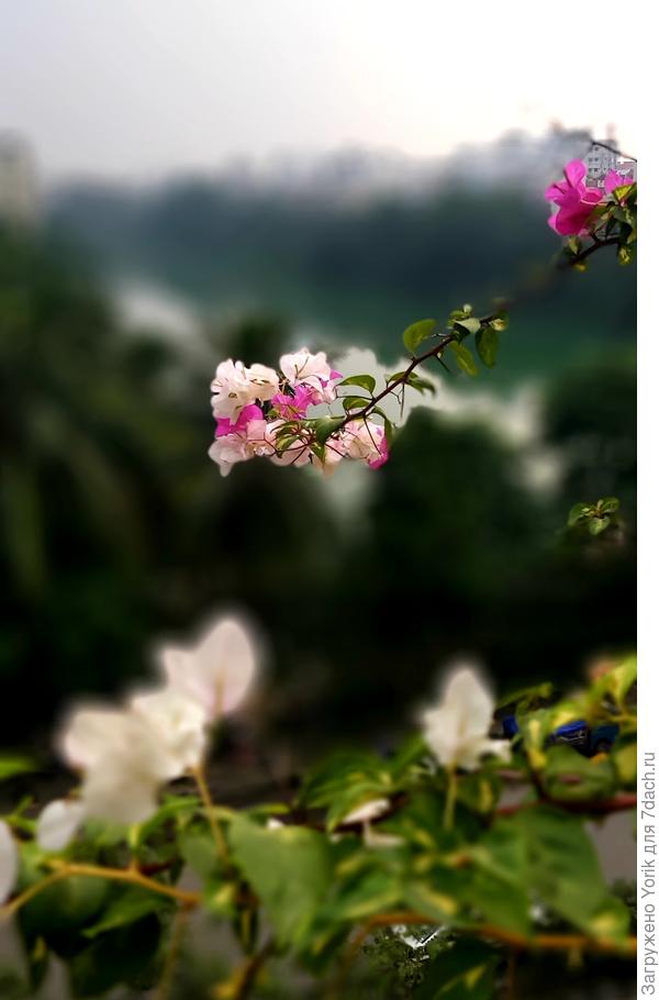 впрочем и ноябрь отличаться не будет