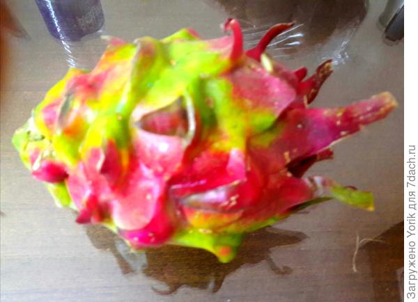 Патайя или Питахайя или Dragon fruit.