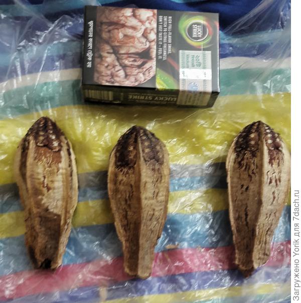 Вот такие &quot;семечки&quot;