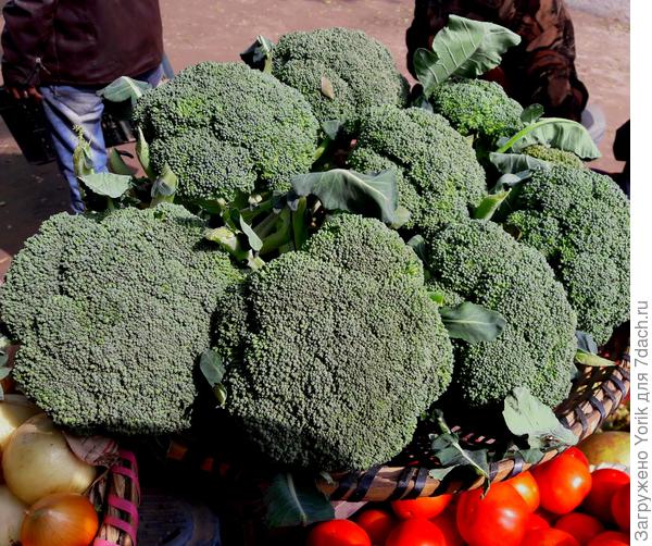 Каждое утро местные крестьяне привозят свой урожай.