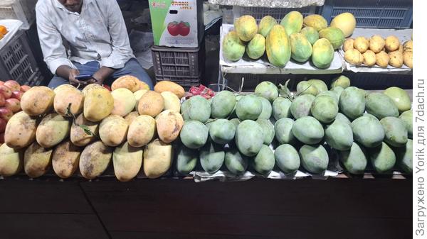 Манго с дерева