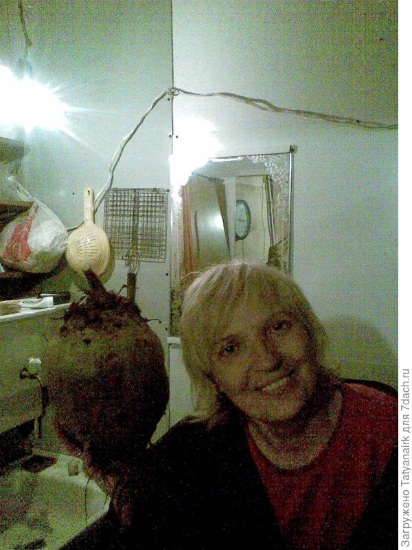 сорт уже не помню