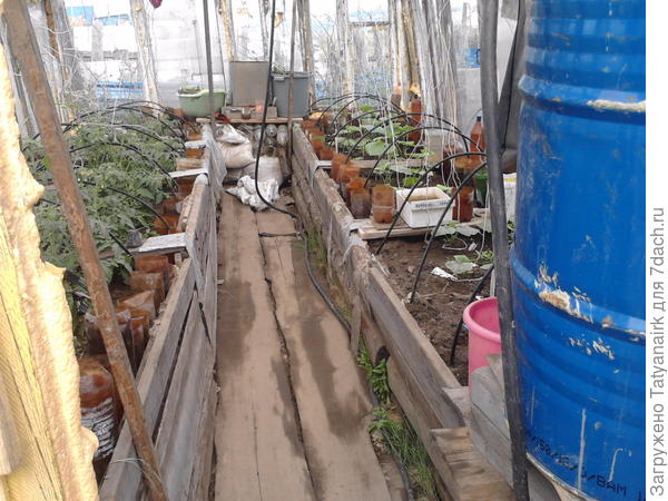 в огуречнике две, он по-меньше-6 м (пол до ума довести руки-ноги не доходят)