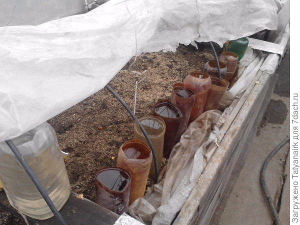 середина апреля