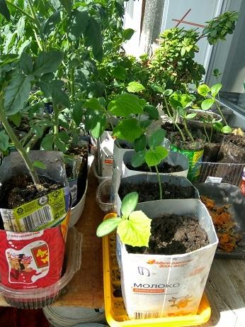 Вот особо борзых пришлось переваливать в ещё бОльшие ёмкости. Видно слева.