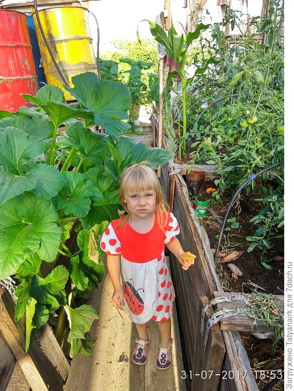 Из бочек вода самотёком идёт