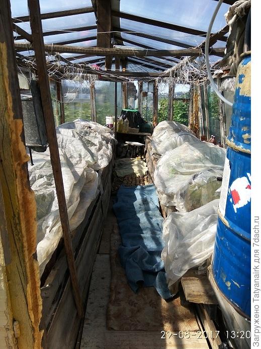 Теплица на солнечном и водяном обогреве. 27 августа был заморозок, помидоры и огурцы сняла с подвязок и накрыла плёнкой, ещё росли до 8 октября.